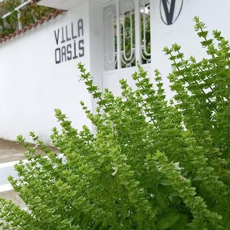 Villa Oasis Berat Bagian luar foto
