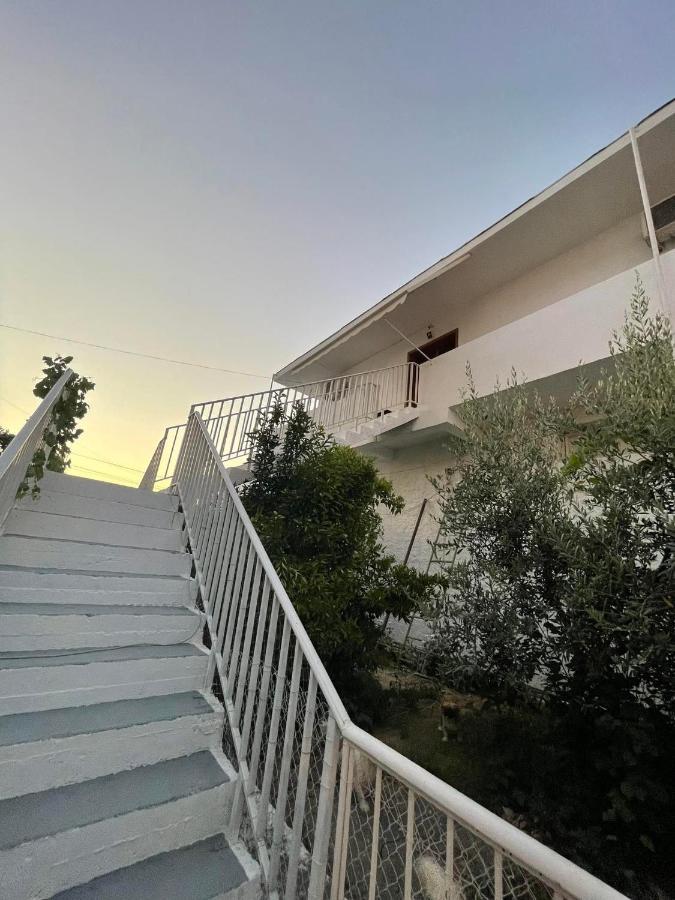 Villa Oasis Berat Bagian luar foto