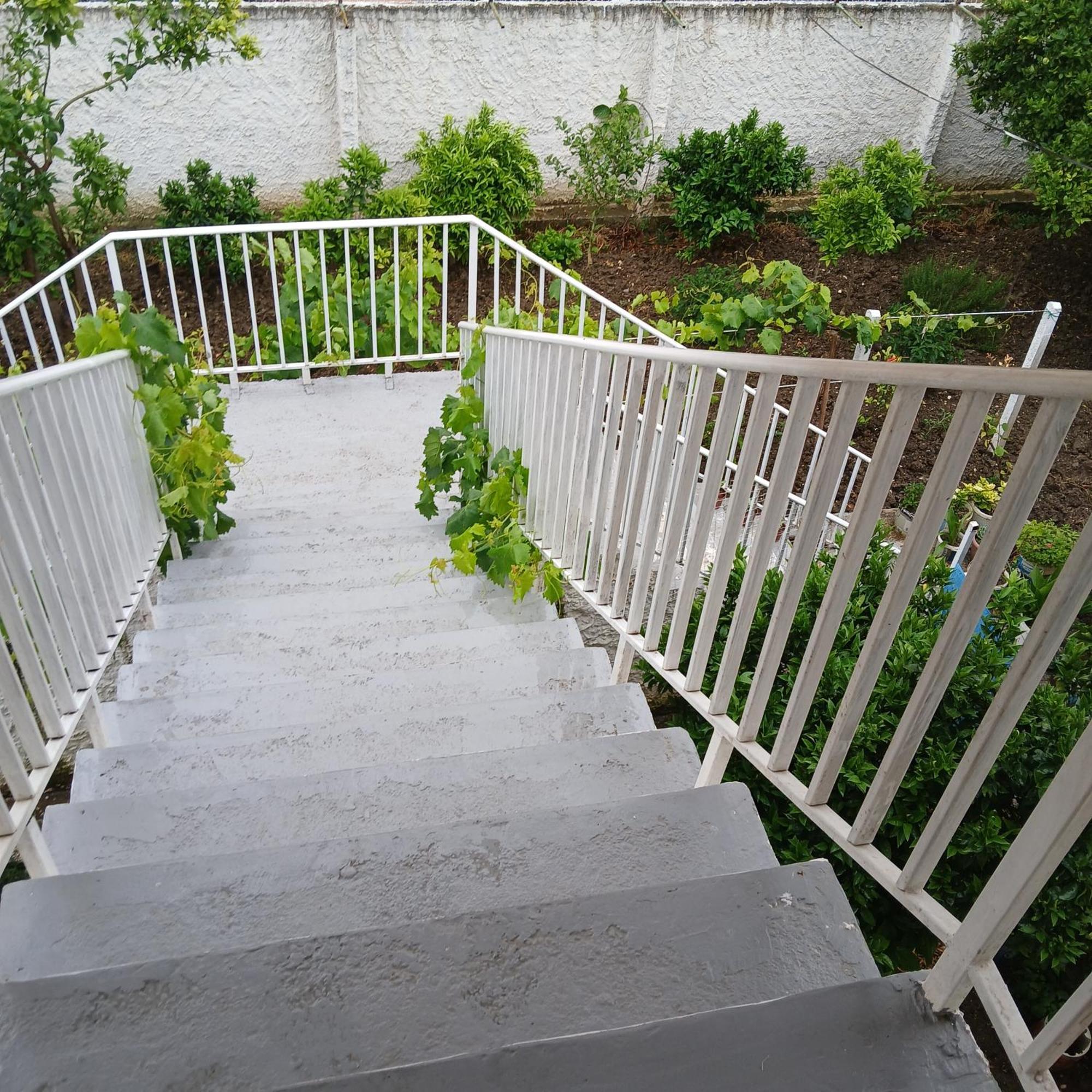 Villa Oasis Berat Bagian luar foto